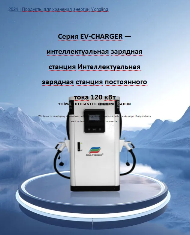 120 кВт Интеллектуальная станция зарядки постоянного тока (2)